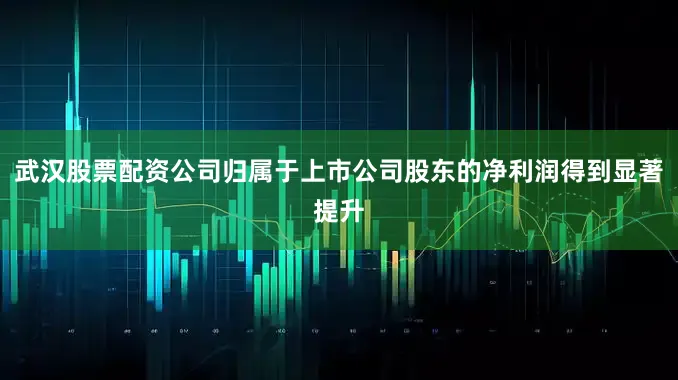 武汉股票配资公司归属于上市公司股东的净利润得到显著提升