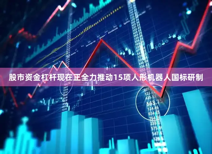 股市资金杠杆现在正全力推动15项人形机器人国标研制